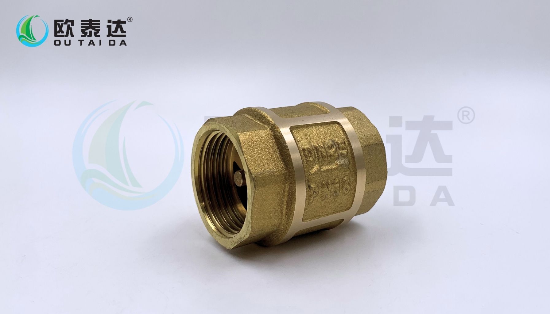 Brass check valve
