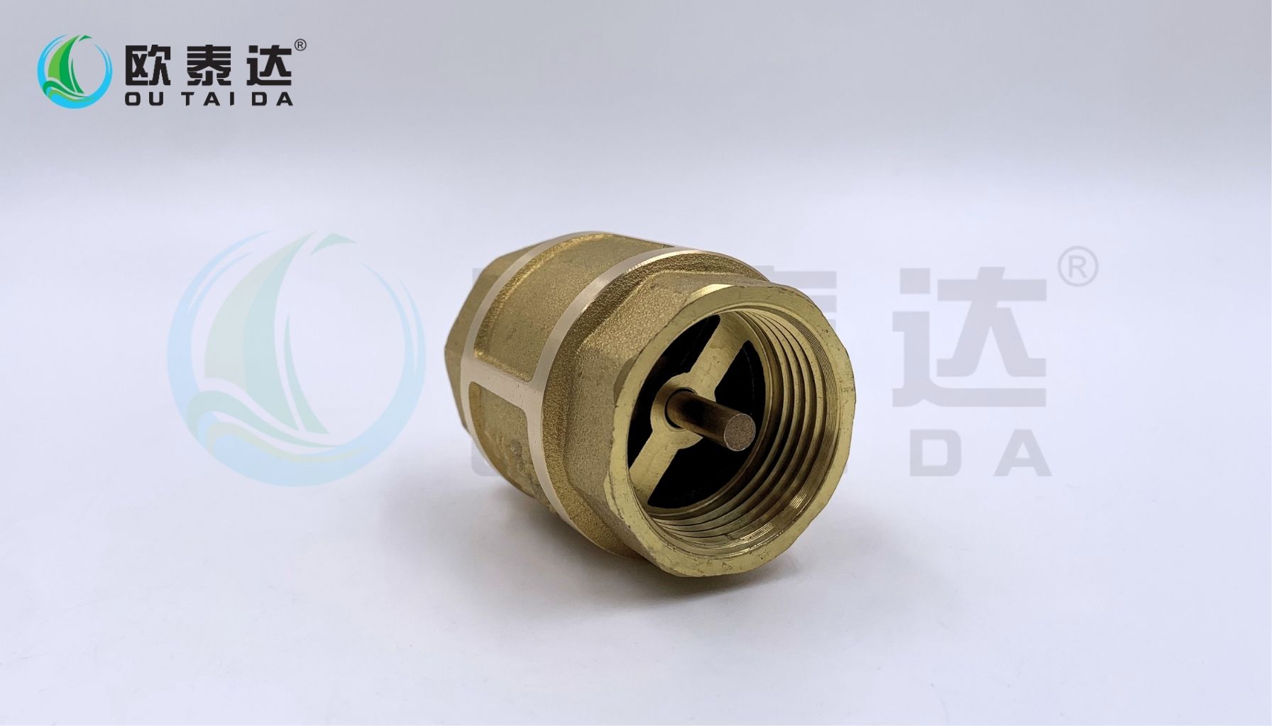 Brass check valve