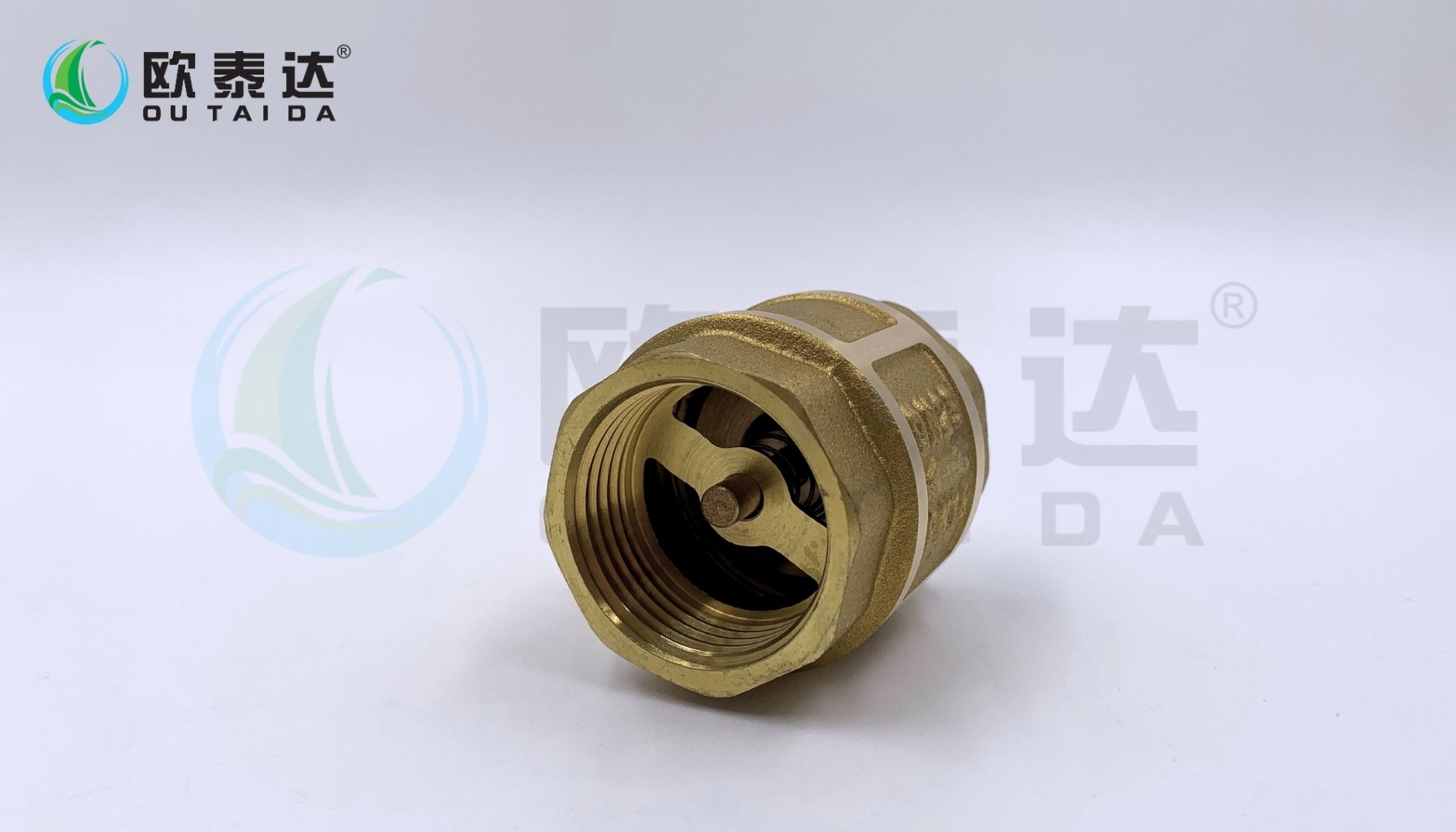 Brass check valve