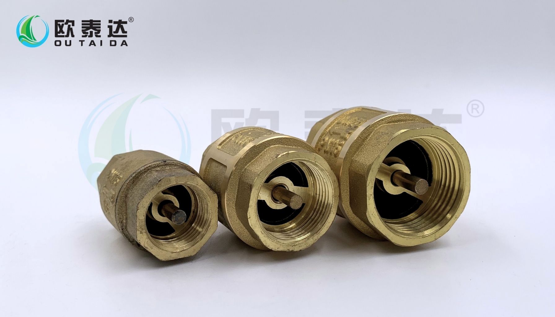 Brass check valve