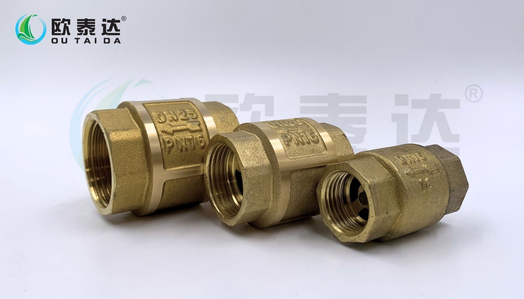 Brass check valve