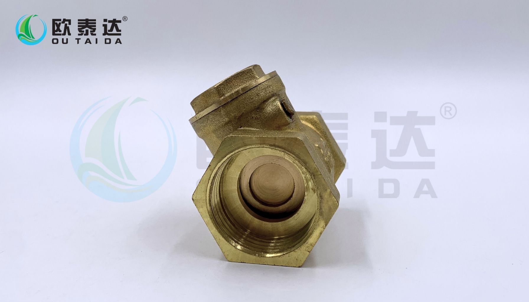 Brass horizontal check valve